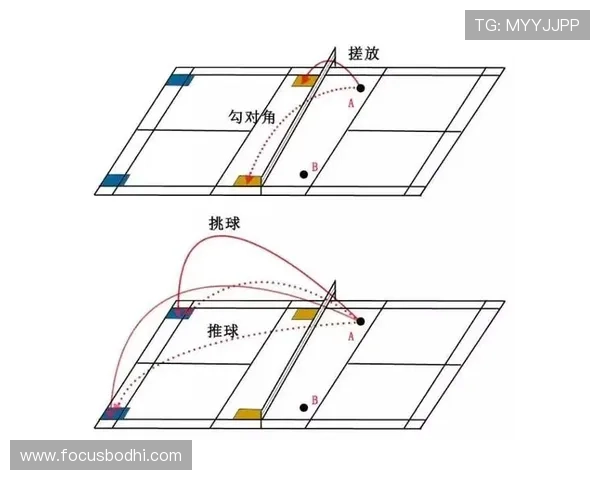 上海羽毛球队意识对比深度解析与战术发展趋势探讨