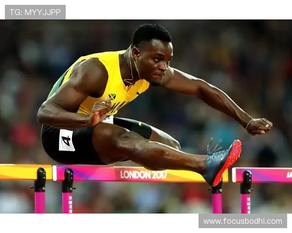 专访黄丽:深入探讨排球运动的成功秘诀与未来发展方向 专访黄丽:深入探讨排球运动的成功秘诀与未来发展方向