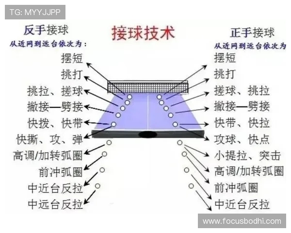 乒乓球新手必看:从基础技术到实战技巧的全面入门指南 乒乓球新手必看:从基础技术到实战技巧的全面入门指南