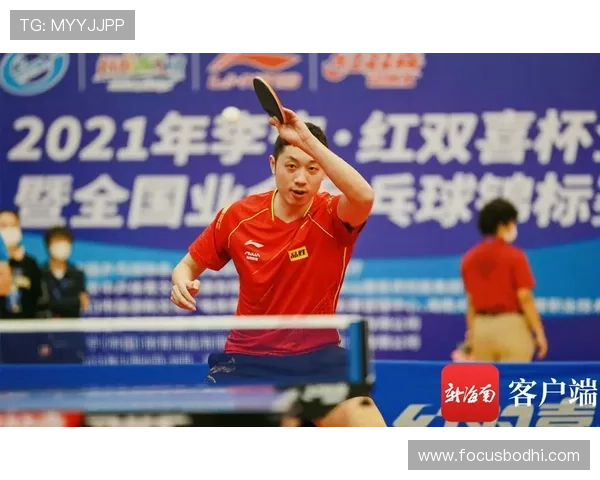 乒乓球爱好者必看护膝选购指南与推荐品牌解析