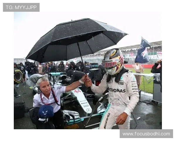 倒挂金钟足球明星的传奇故事与赛场背后的奋斗历程