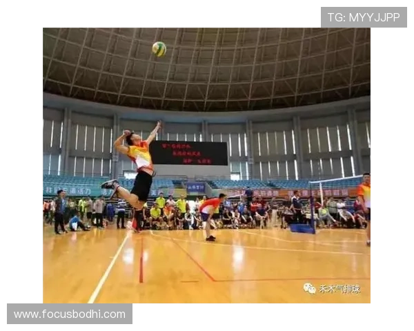 从零起步掌握排球节奏技巧全方位指南助你成为排球高手