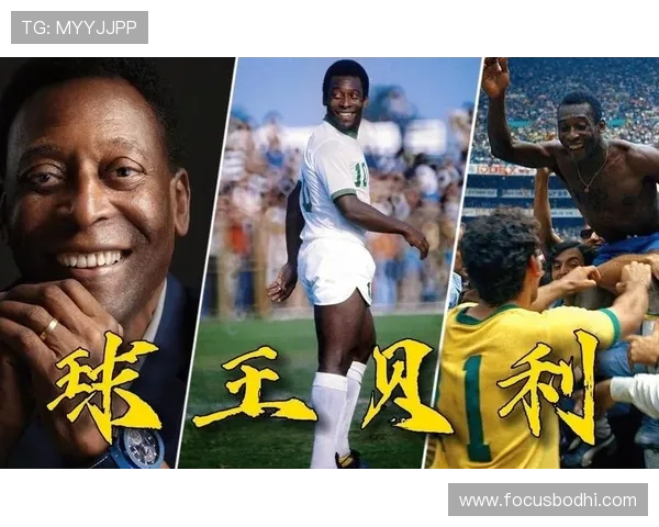 全球足球巨星风采与成就全面解析与介绍