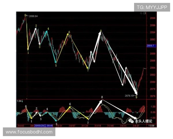 广州排球队整体压制战术解析与实战应用探讨